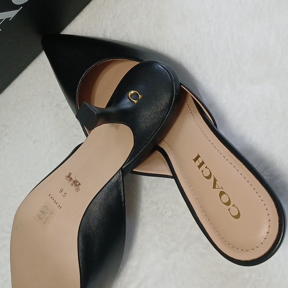 Shoes - Picture 3 of 3